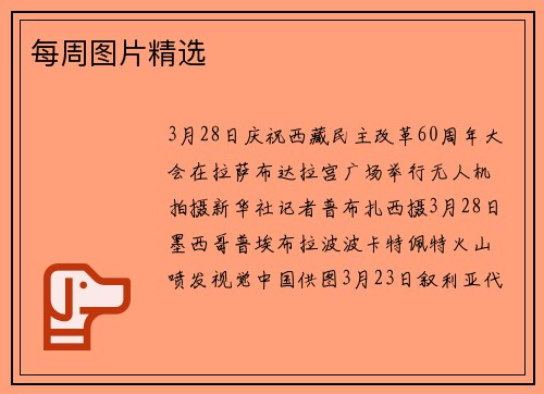 每周图片精选